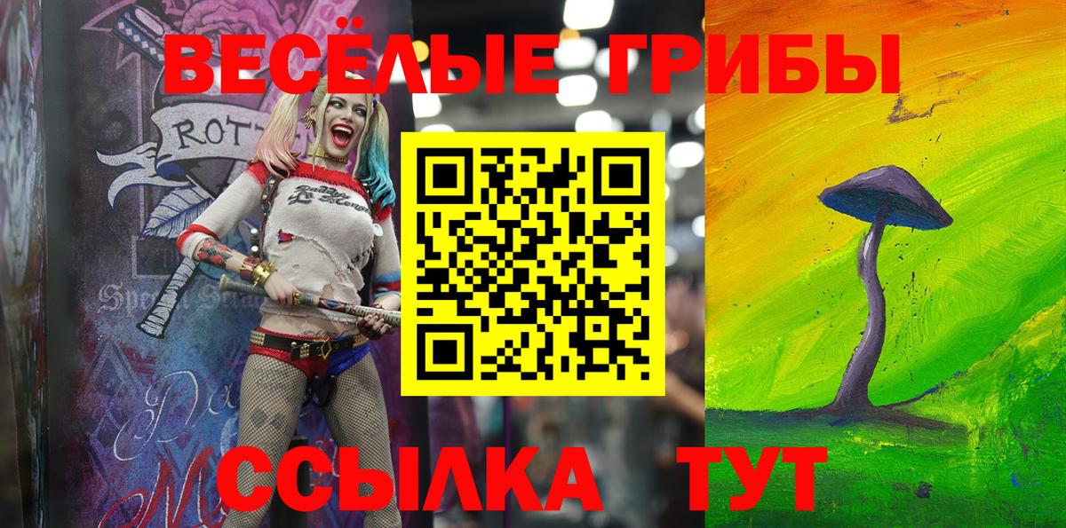 Галлюциногенные грибы Psilocybe Клин